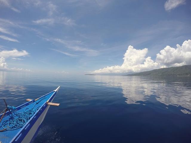 菲律宾潜水攻略 (菲律宾潜水游记)
