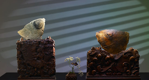 小石头和国宝,小石头国宝