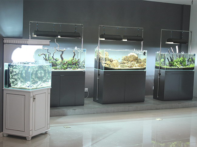 超白鱼缸怎么选玻璃,新手如何选择超白鱼缸尺寸