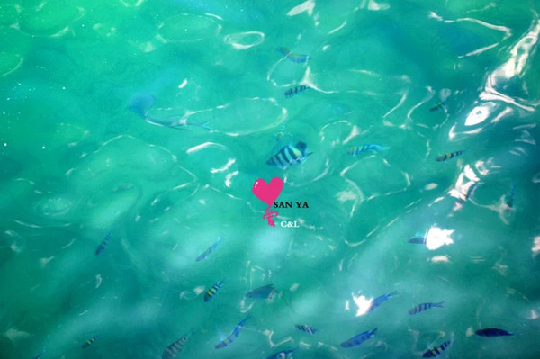 带着婚纱旅行攻略,带着婚纱去旅行拍照