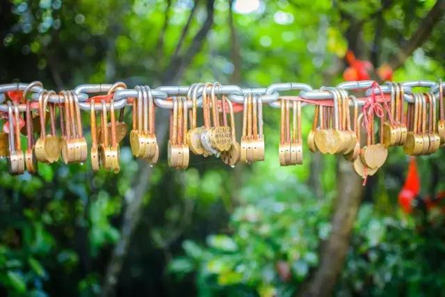 美哭了，金秋不去观音山绝对会后悔！