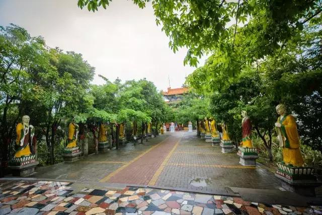 美哭了，金秋不去观音山绝对会后悔！