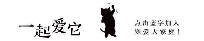 狗狗体臭是什么原因造成,狗狗有体臭怎么去除