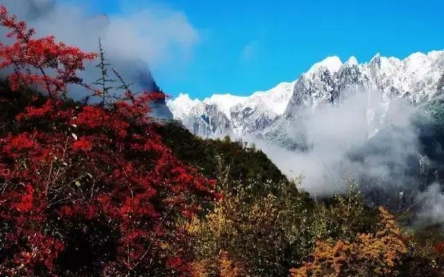 四川三个赏秋绝妙地,四川秋天最美的7个地方