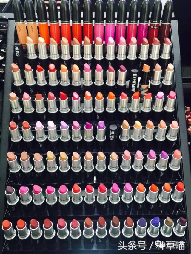 老司机带路买车不迷茫,老司机带路游广州