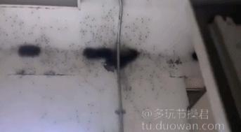 爱情搞笑动态图片,爱情搞笑动态图