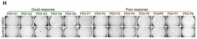 如何查找未知的lncrna序列,文献解读lncrna经典研究思路