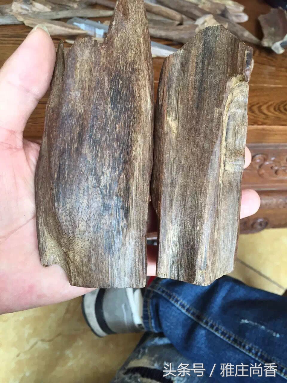 沉香怎么醇化出好沉香,欣贸沉香馆沉香是如何形成的