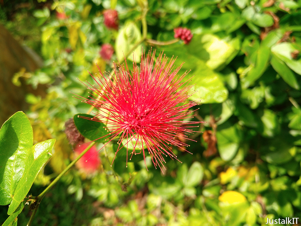 乐视乐PRO3AI怎么样,乐视乐pro3跑分