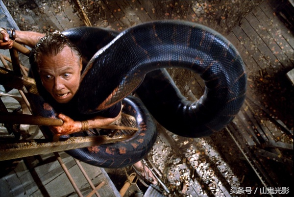 十部顶级巨蟒,盘点不同系列的巨蟒