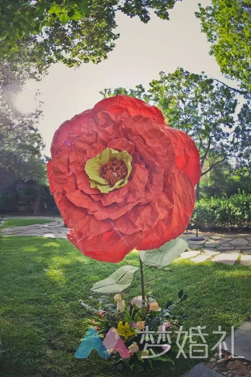 这场还原“暮光之城”的波西米亚婚礼，一只心机柯基告捷抢镜