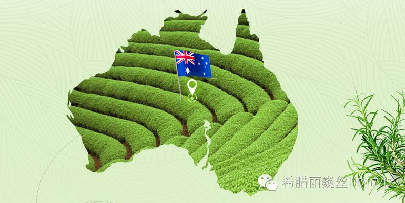 用了茶树精油祛痘脸上干燥起皮 (茶树祛痘凝胶精油功效怎么样)