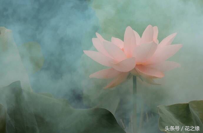 有心跳的生活，美景尽在眼下