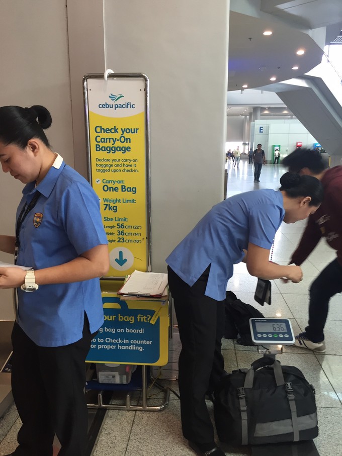 菲律宾潜水攻略 (菲律宾潜水游记)