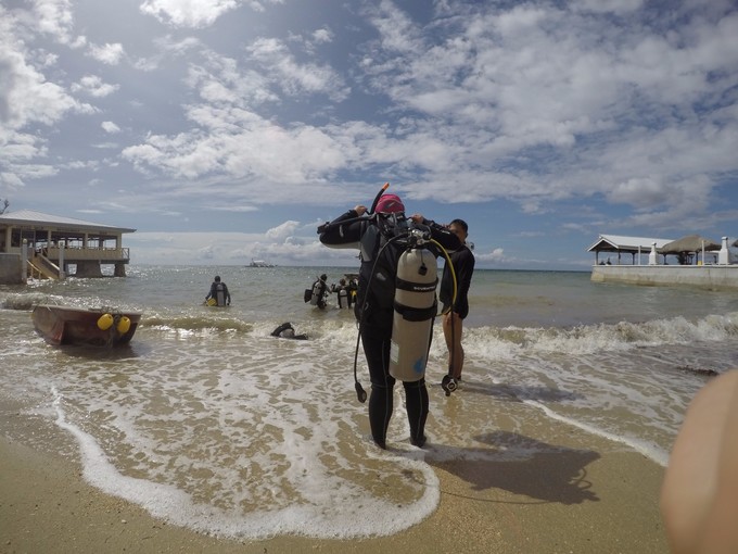 菲律宾潜水攻略 (菲律宾潜水游记)