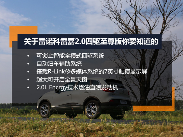 不看颜值只看性能的手机,2016款雷诺科雷嘉雾灯型号