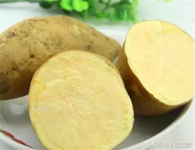 钩尖江湖蚯蚓饵料测评,钩尖江湖公布的几款饵料配方