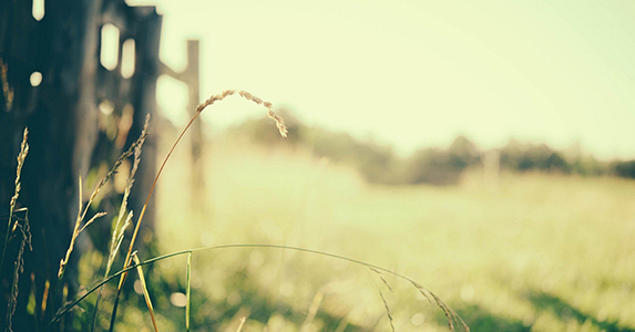 夫家悔婚她跳河被浑厚男人救出，婚后公公做了件事她被人戳脊梁骨