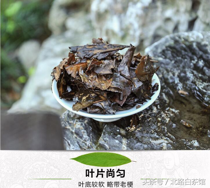 老寿眉白茶值得收藏吗,陈年寿眉高山福鼎白茶
