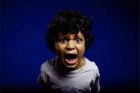 流媒体基础知识大全,流媒体入门教学