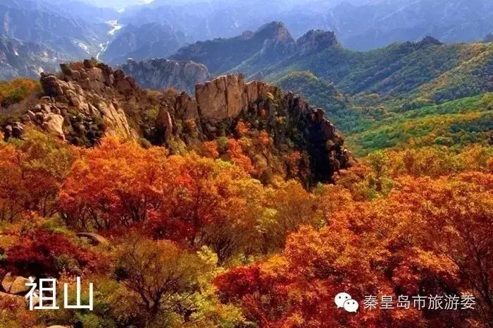 秦皇岛重阳,九九重阳节河北吃什么