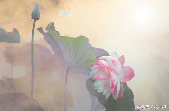 有心跳的生活，美景尽在眼下