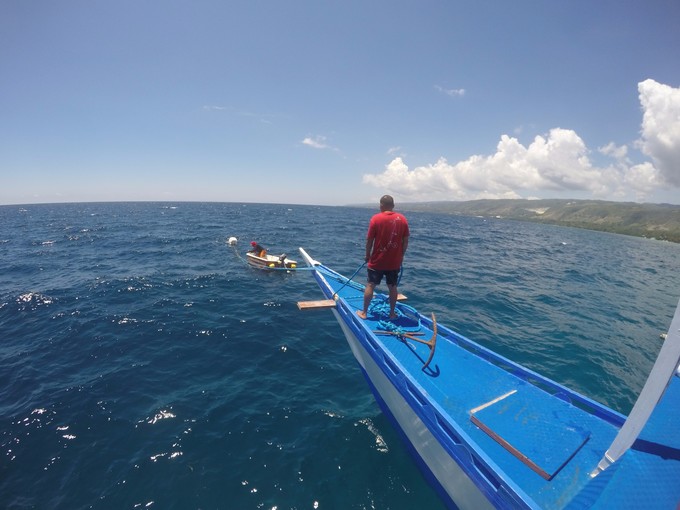 菲律宾潜水攻略 (菲律宾潜水游记)