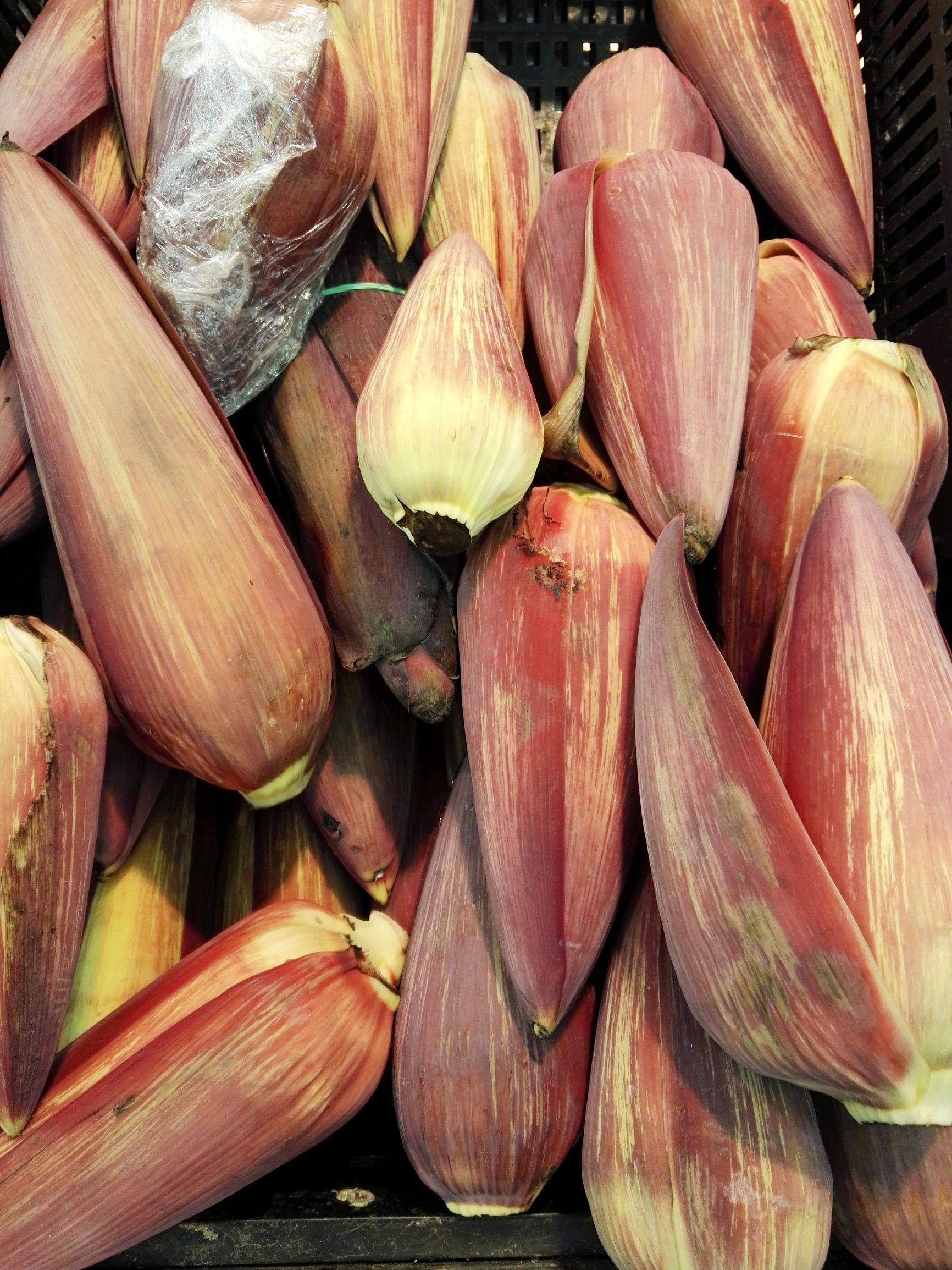 沙特阿拉伯的超市，最爱聘请男收银员