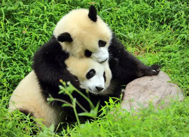 世界旅游游客量排名,2018国际游客数量排名