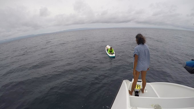 菲律宾潜水攻略 (菲律宾潜水游记)