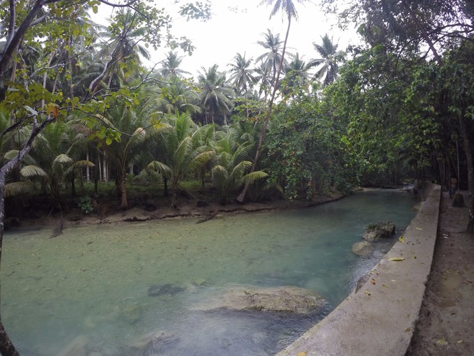 菲律宾潜水攻略 (菲律宾潜水游记)