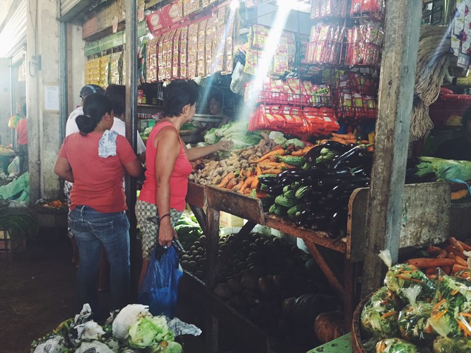 菲律宾潜水攻略 (菲律宾潜水游记)