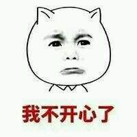 突然就想念起图书馆的那个猫副馆长了