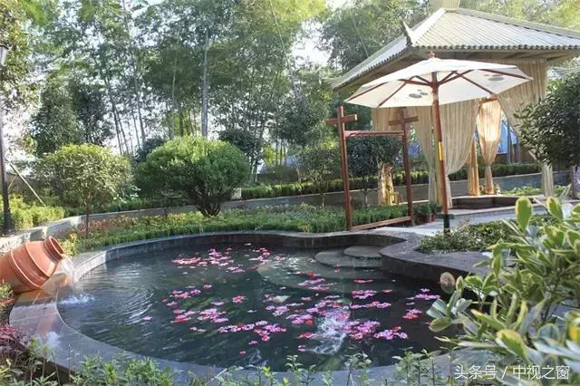 湖北洪湖小众旅游景点推荐,洪湖周末游玩好去处