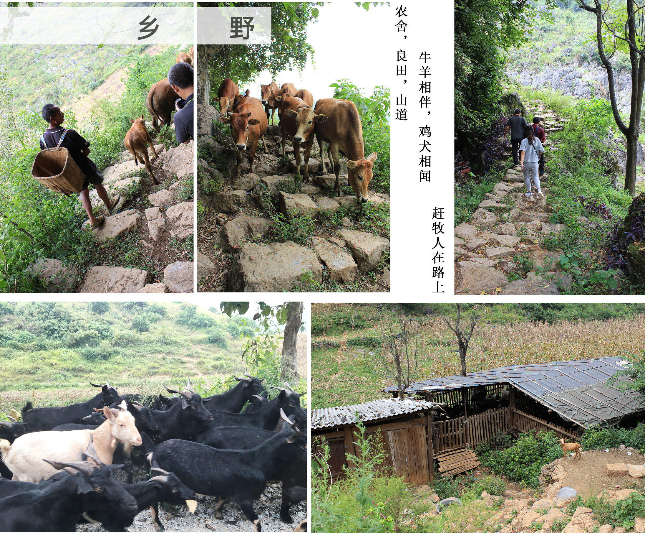 贵州雨后的大山美景,秋天的贵州大山这里仿佛就是仙境