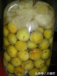 广西特产泡酸梅子,广西酸梅怎么泡比较好