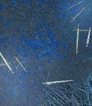 流放之路开荒快速过剧情攻略,流放之路近战剧情开荒攻略