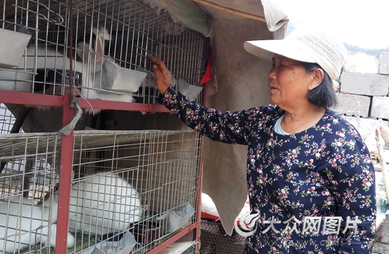 丙申扶贫记（2）一剂脱贫药方让她笑着哭