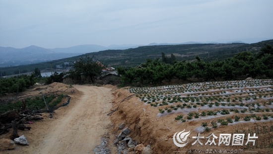 丙申扶贫记（2）一剂脱贫药方让她笑着哭