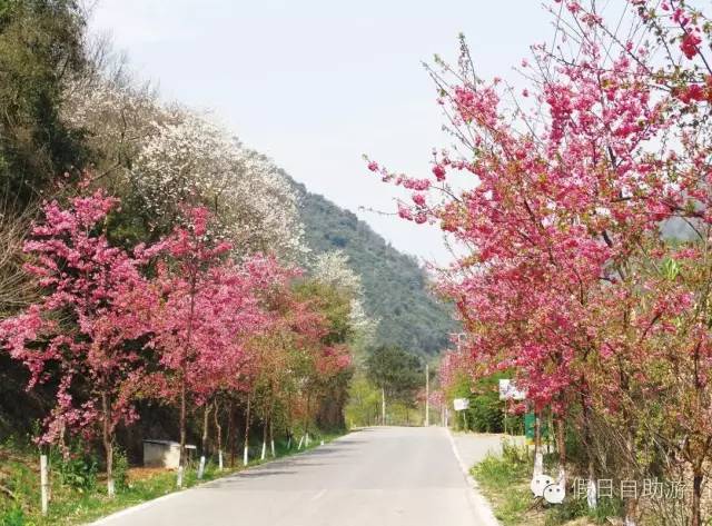 昆明青龙峡风景区有什么好玩的,昆明青龙峡一日游