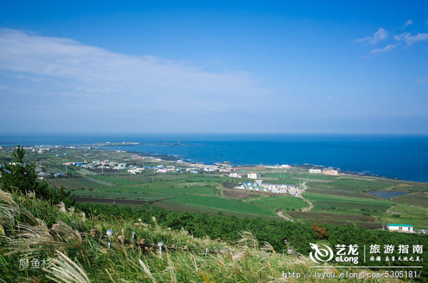韩国济州岛美女视频照片,韩国济州岛美容机构