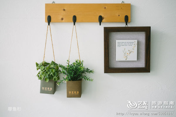 韩国济州岛美女视频照片,韩国济州岛美容机构