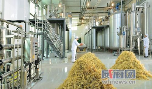 西洋参种植一亩利润,一亩西洋参能收多少鲜参