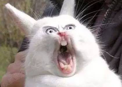 野火烧不尽死灰复燃,野火烧不尽野草