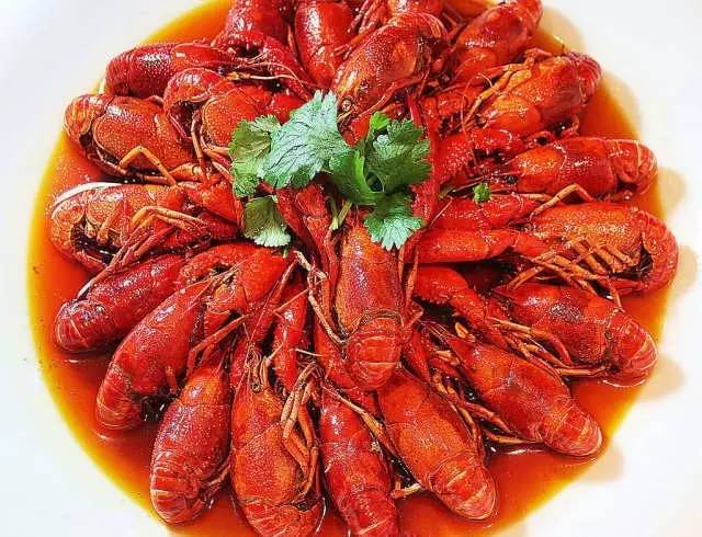 野火烧不尽死灰复燃,野火烧不尽野草