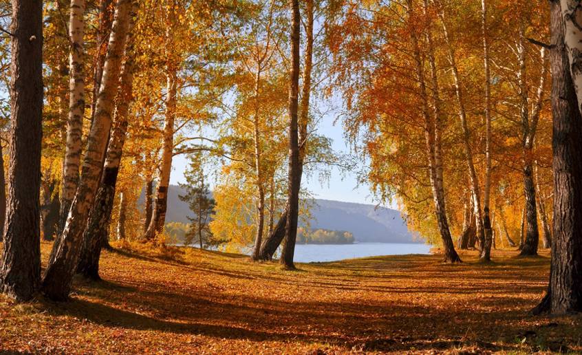 长沙的秋天去哪了,长沙秋天合适去的地方