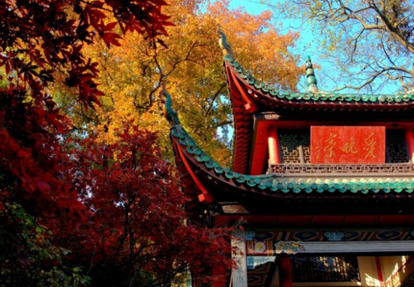长沙的秋天去哪了,长沙秋天合适去的地方