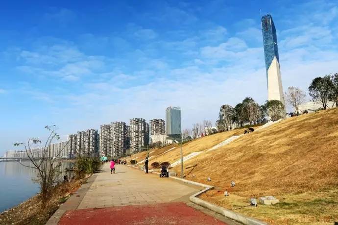 长沙的秋天去哪了,长沙秋天合适去的地方