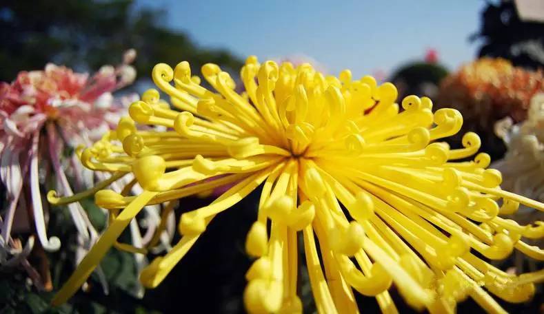 长沙的秋天去哪了,长沙秋天合适去的地方