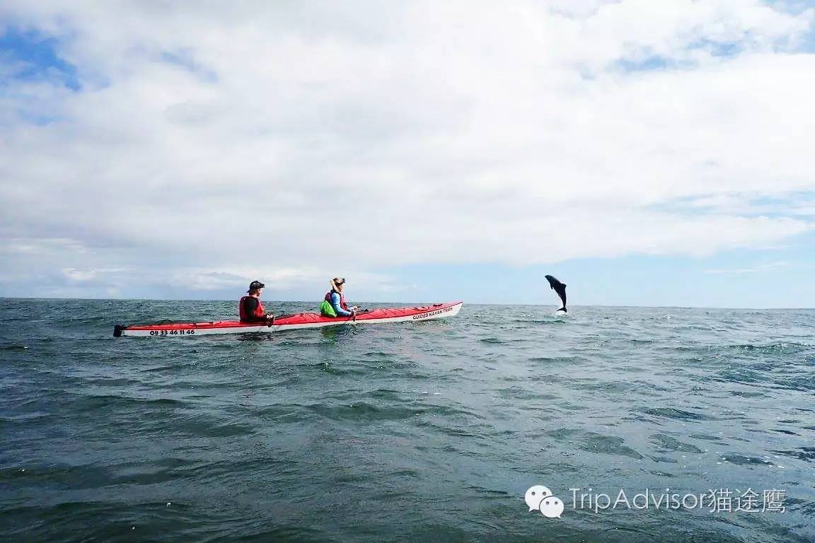 一次完美旅行需要掌握的几个要点,让旅行更完美的生活小妙招